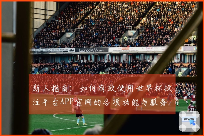 新人指南：如何有效使用世界杯投注平台APP官网的各项功能与服务