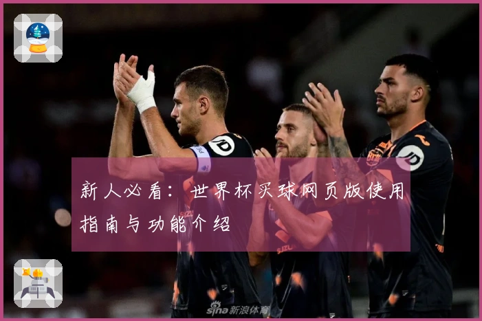 新人必看：世界杯买球网页版使用指南与功能介绍