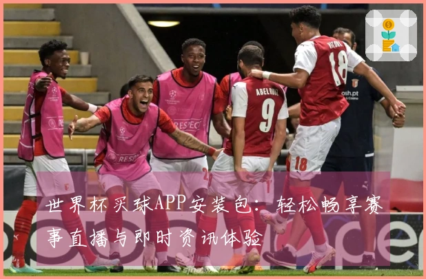 世界杯买球APP安装包：轻松畅享赛事直播与即时资讯体验
