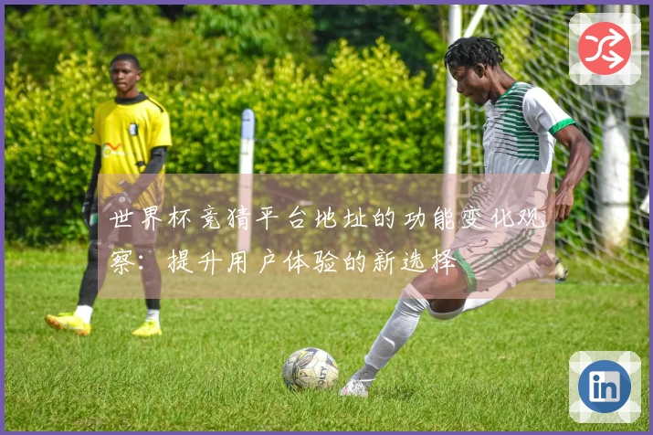 世界杯竞猜平台地址的功能变化观察：提升用户体验的新选择