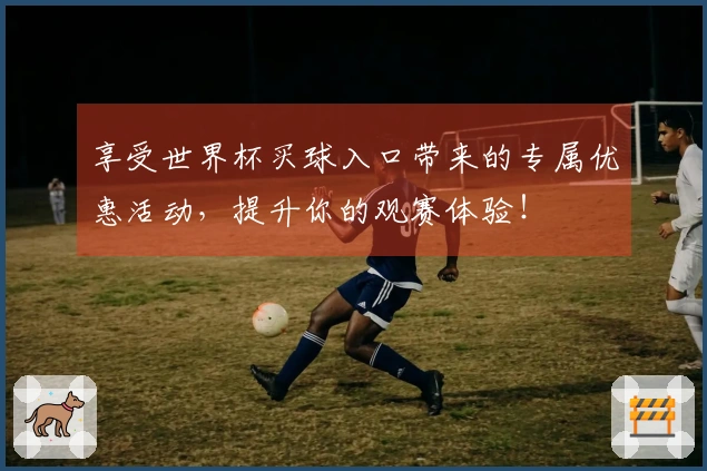 享受世界杯买球入口带来的专属优惠活动，提升你的观赛体验！