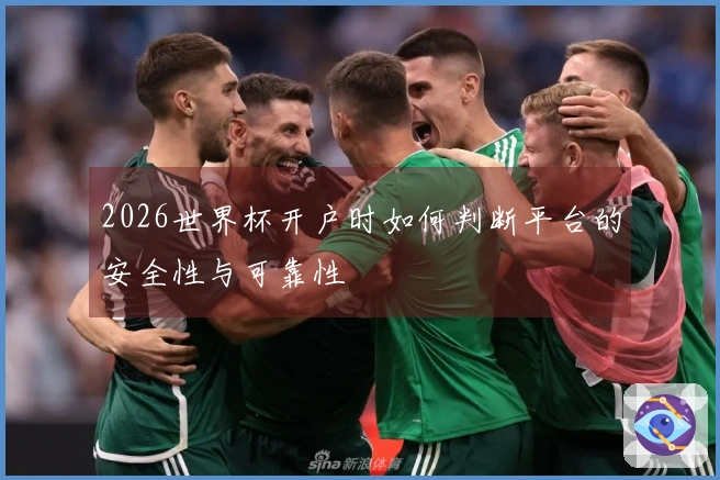 2026世界杯开户时如何判断平台的安全性与可靠性