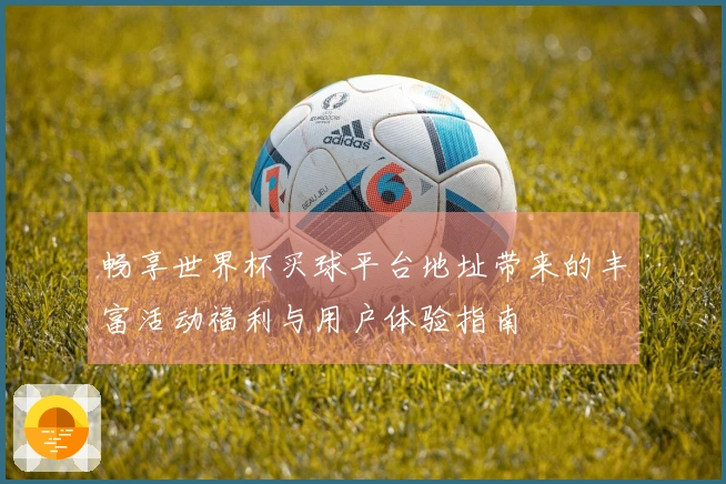 畅享世界杯买球平台地址带来的丰富活动福利与用户体验指南