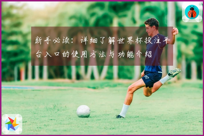 新手必读：详细了解世界杯投注平台入口的使用方法与功能介绍