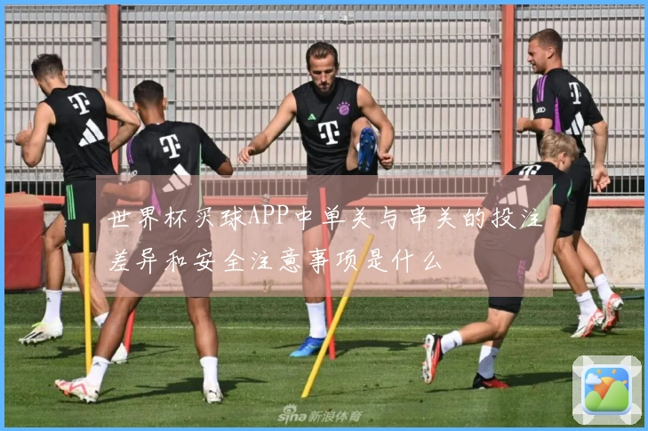 世界杯买球APP中单关与串关的投注差异和安全注意事项是什么