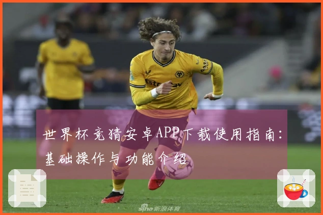世界杯竞猜安卓APP下载使用指南：基础操作与功能介绍
