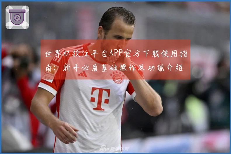世界杯投注平台APP官方下载使用指南：新手必看基础操作及功能介绍
