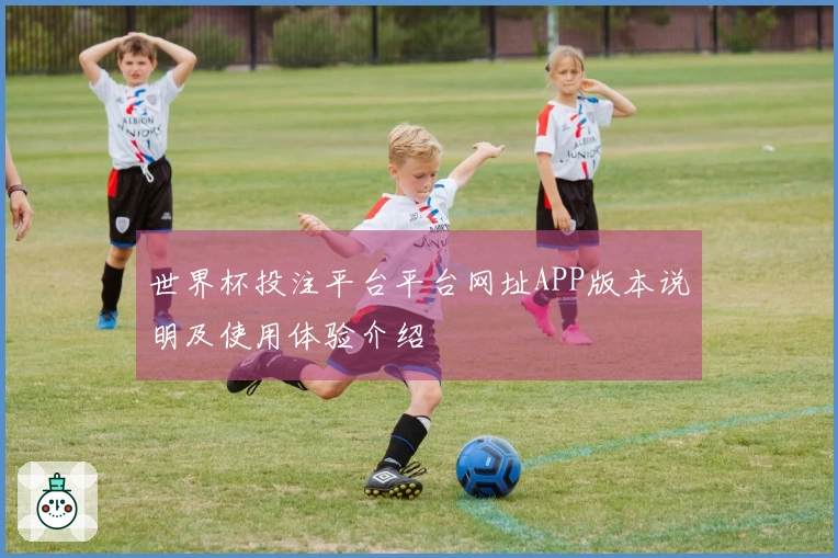 世界杯投注平台平台网址APP版本说明及使用体验介绍
